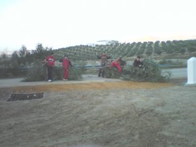 esta imagen es reciente